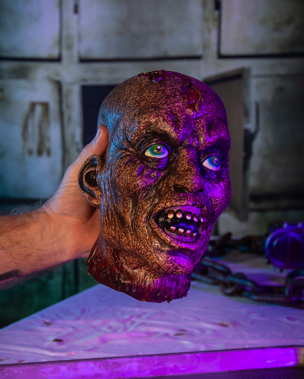 Verfaulter Zombieschädel als Halloween Deko 25cm