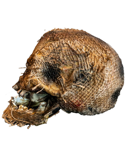 Vermoderter Totenkopf mit offenem Kiefer 22cm