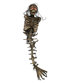Verottetes Meerjungfrau Skelett 85cm