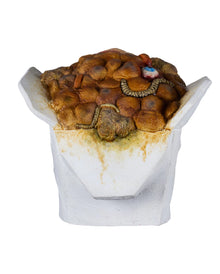 Nasty Rotten Chinese Food Deco Prop