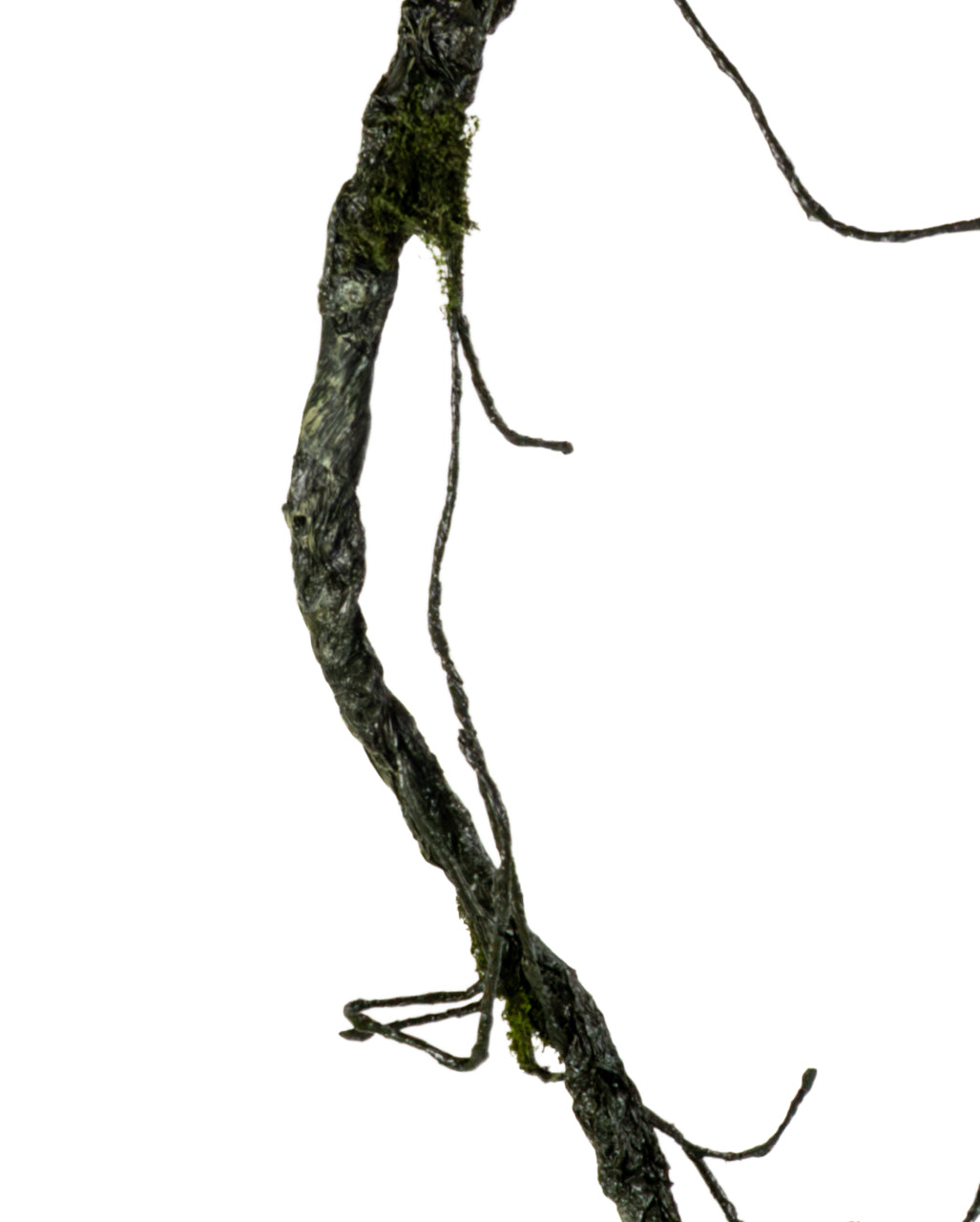 Vertrocknete Friedhofs Ranke als Deko 192 cm