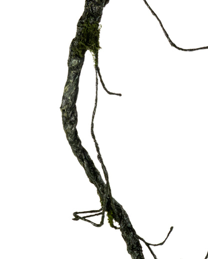 Vertrocknete Friedhofs Ranke als Deko 192 cm