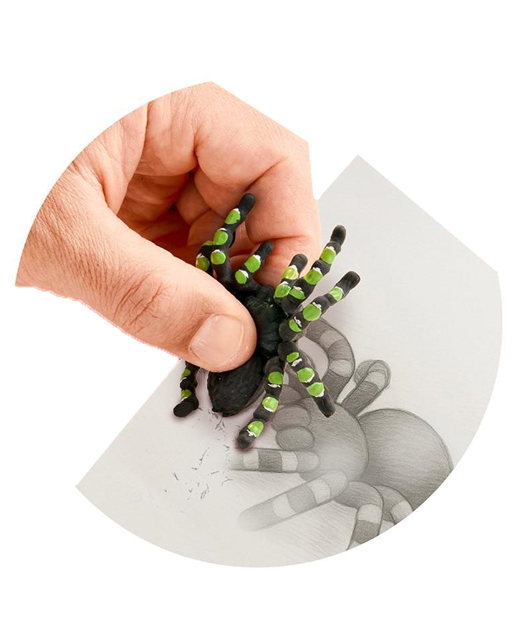 Vogelspinne Radiergummi 7,5cm