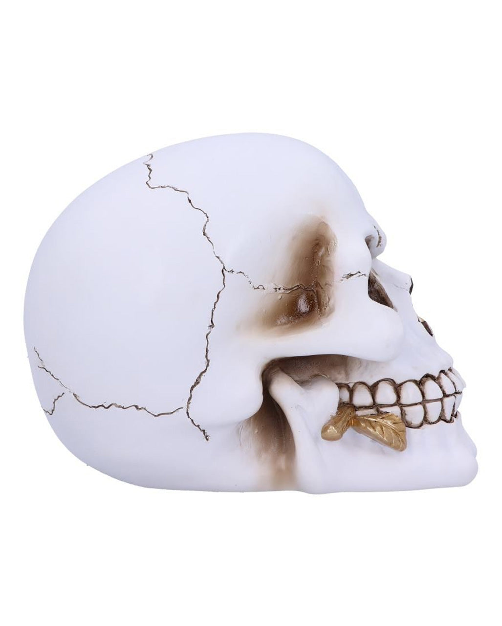 Weißer Totenkopf mit goldener Rose