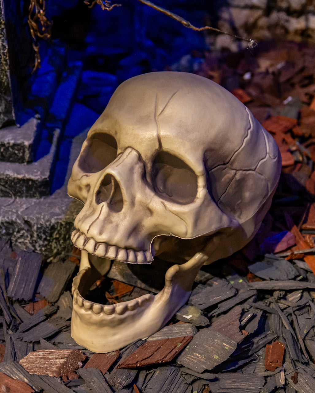 Realistic Skull With Movable Jaw 20cm