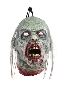 Zombie Kopf zum Hängen 22cm